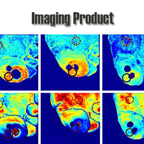 ryts imaging